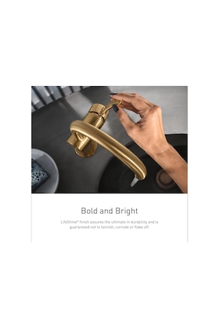 Moen Ts44102bg Colinet Geleneksel İki Yaygın Yüksek Ark Banyo Bat Diğer