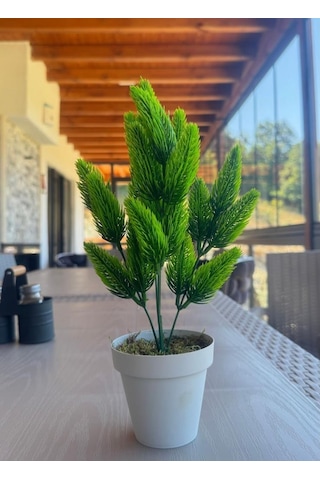 Yapay Çiçek Krem Saksıda Yeşil Kozalaklı Çam Demeti