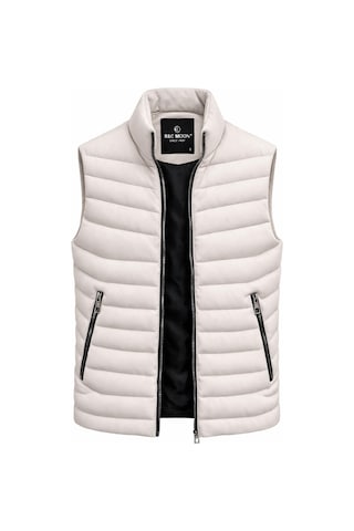Classics Men Rc Moon Fermuarlı Erkek Slim Fit Süet Yelek 7584 Taş