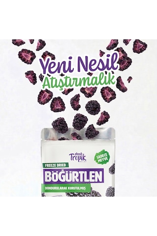 Dondurularak Kurutulmuş Böğürtlen 18 G Freeze Dried Meyve Cipsi Çıtır Meyve Kurusu 12 Adet