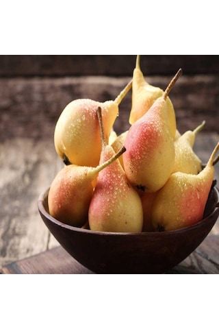 Tüplü, Aşılı, June Gold / Haziran Altını Armut Fidanı