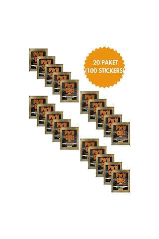 Toyika Panini Lisanslı World Class 2024 Koleksiyon 20 Paket 100 Stickers Çıkartma