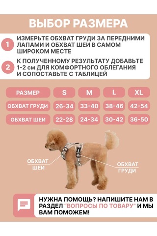 Tori Küçük Ve Orta Irklar İçin Tasmalı Köpek Kayışı Ve Kedi Şeridi 481285191