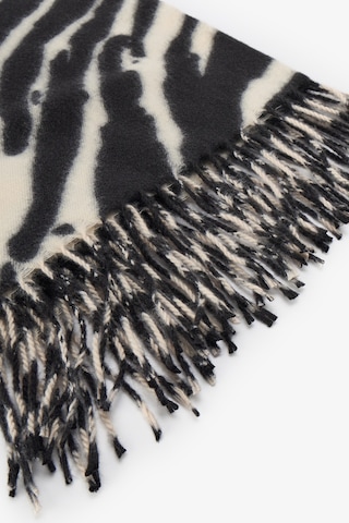 Penti Zebra Atkı Renkli