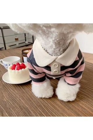 Köpek Giysileri Schnauzer Teddy York Shire Polo Gömlek Yaz Bej