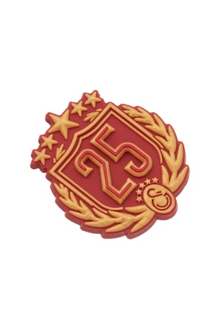 Gsstore Galatasaray 25. Şampiyonluk Magnet U251419