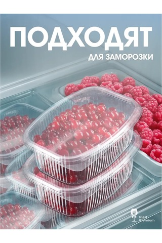 Ecopakplast Kapaklı Plastik Tek Kullanımlık Kaplar 500 Ml 100 Adet 126040550 100
