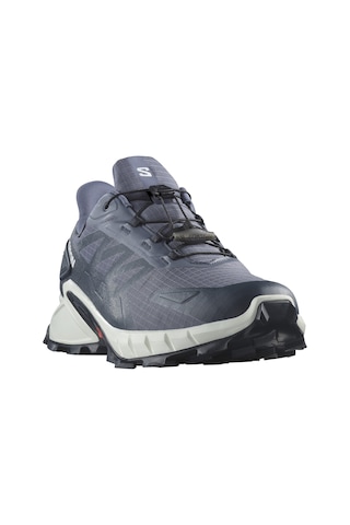 Salomon Supercross 4 Gtx Grisaille/white/carbon Salomon L47462300 001