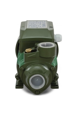 Staxx Power MRS-Max QB60 0.5 HP 1" Elektrikli Su Motoru