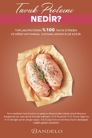 Tavuklu Yavru Yaş Konserve Kedi Maması - %100 Hayvansal Proteinli Jöleli Parça Etli,400 Gr X 12 Adet