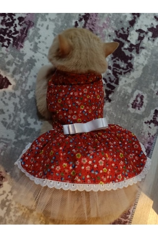 Gobo Rengarenk Çiçekli Fiyonklu Kedi Köpek Kıyafeti Kırmızı L