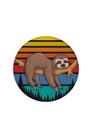 Waboba Wingman Frizbi Tembel Hayvan