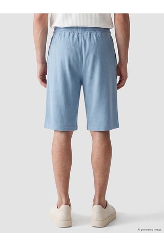 Lcwaıkıkı Classic Mavi Regular Fit Erkek Şort