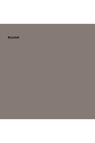 Marshall Silikonlu Özel Mat İç Cephe Boyası Kozalak 2,5l 2.5 L