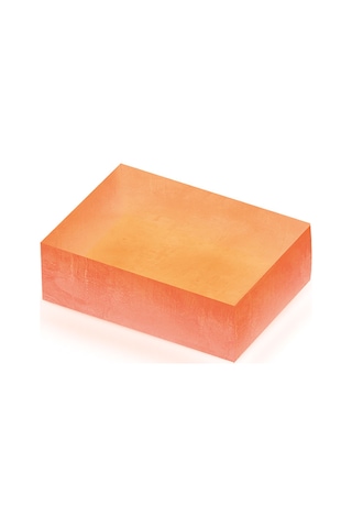Agarta Doğal Reishi Sabunu 150 G