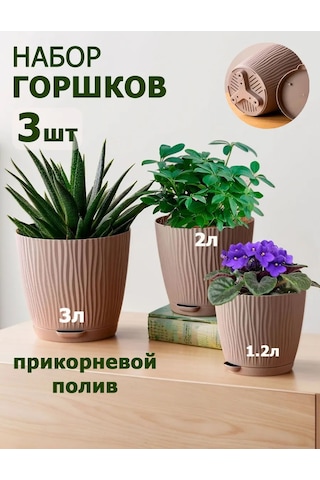 Saburg Çiçek Saksısı Ve Tabanı Seti 233063571