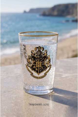 Hogwarts 2'li Meşrubat Bardağı Seti 510 Cc Renkli