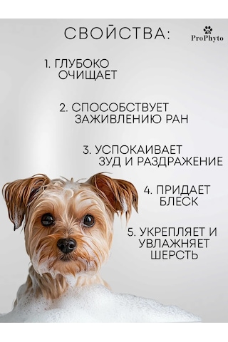 Prophyto Her Gün Kullanılabilir Hipoalerjenik Köpek Ve Yavru Köpek Şampuanı 421934704