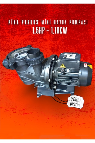 Pina Önfiltreli Havuz Pompası 150m 50mm 220v