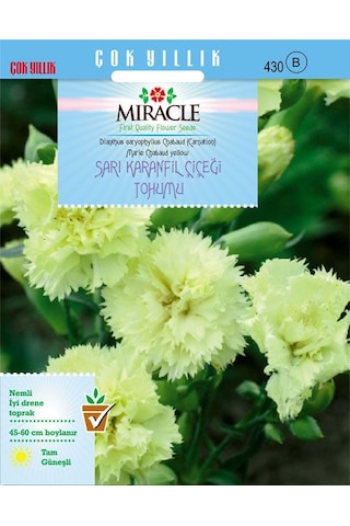 Miracle Marie Chabaud Sarı Karanfil Çiçeği Tohumu 190 Tohum