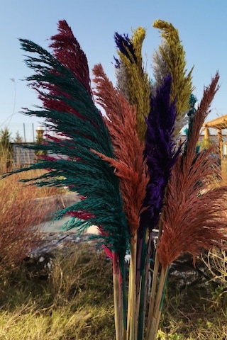 15'li Dekoratif Karışık 100cm Boyunda Pampas Çok Renkli