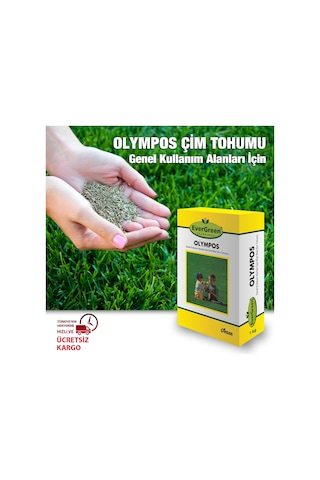 Olympos 6'Lı Karışım İthal Çim Tohumu 1 KG