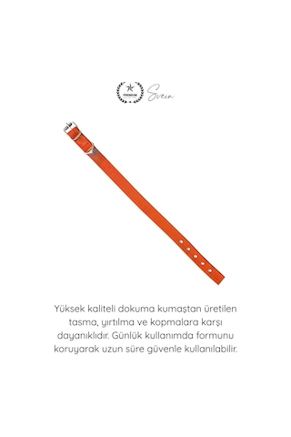 Tasma Dokuma Köpek Boyun Tasması Turuncu 2,5x50 Cm Ayarlanabilir Dayanıklı Gezdirme Tasması Paslanm