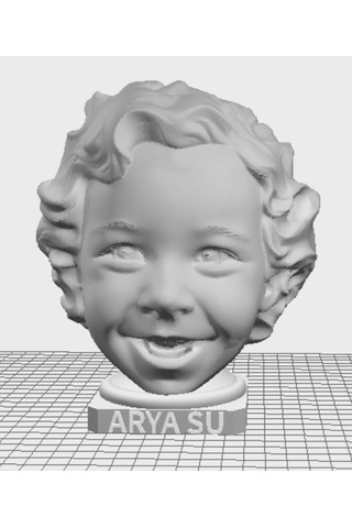 Fotoğraftan Kişiye Özel 3D Büst (10-13 cm)