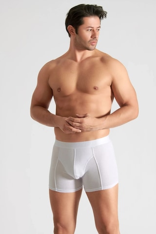 Hepsine Rakip 4 Lü Tutku İç Giyim Pamuklu Likralı Erkek Boxer 0114 Beyaz