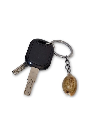 Deniz Kabuğu Anahtarlık Cowrie Shell 310