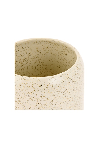 Primanovaa Cartrı Diş Fırçalık - Bej - 11x10 Cm Çok Renkli