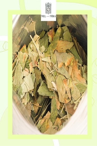 Premium Ginkgo Biloba 65g Mabet Ağacı Yaprağı 1. Kalite
