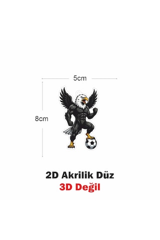Araba Ayna Süsü, Araba Süsü, Çanta Aksesuarı - Kartal - Pleksi Malzeme, Uv Baskılı - 044 8x6 Cm