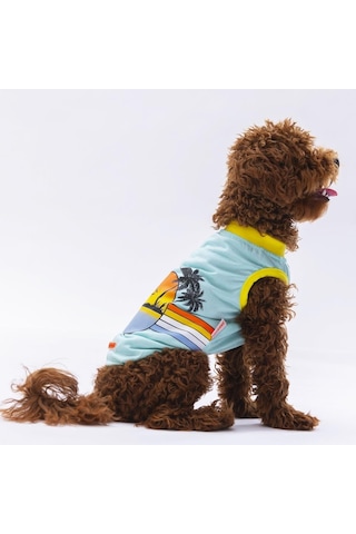 Pawstar Mint Sunrise Kedi Köpek Tişörtü Kedi Köpek Kıyafeti