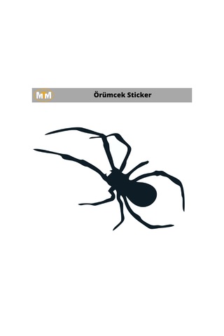 Örümcek Oto Sticker 15 Cm