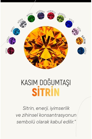 Erdobia Kasım Sitrin Doğum Taşı Çiçek Motifli Telkari Gümüş Kolye