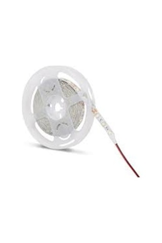 Noas İç Mekan Yeşıl Şerit Led 5 Mt