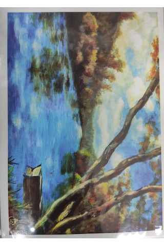 Seven Kartpostal Svn-501/502/503