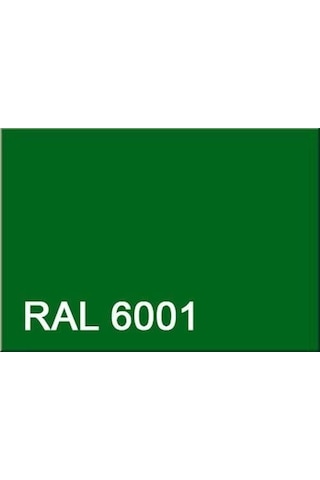 Pamukkale Enamel Sentetik Parlak Yağlı Boya 0.75 Kg Çimen Yeşili Ral 6001