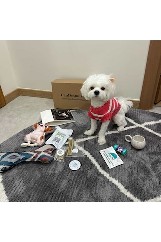Candostumbox Evcil Hayvan Hediye Kutusu Kedi Köpek Tavşan Kuş B