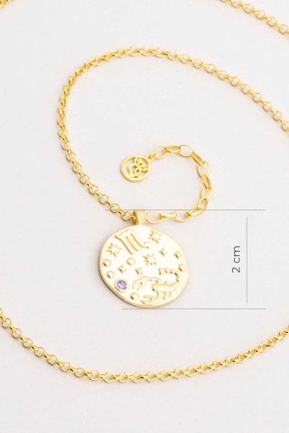 Akrep Burcu 18 Ayar Sarı Altın Kaplama 45 Cm Gümüş Kolye Sarı