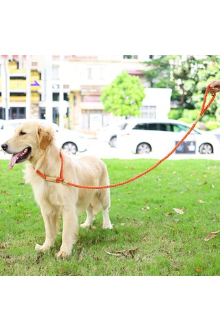 Leezsingköpek Tasması Kayma İpi Örgülü İp 1.7m Ağır Hizmet Tipi Çekmesiz Eğitim Tasması Küçük Orta Büyük Köpekler İçin