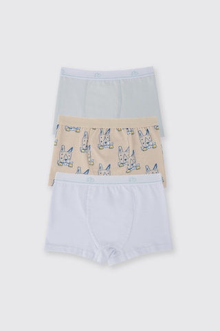 Panço Erkek Çocuk 3'lü Boxer Seti Renkli