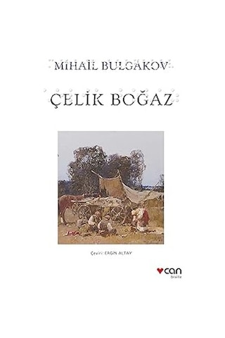 Çelik Boğaz Braılle + İktidar: Güç Sahibi Olmanın 48 Yasası + İnsancıklar + İnsanlar + Çiçeklenmeler + 31 Kitap Set