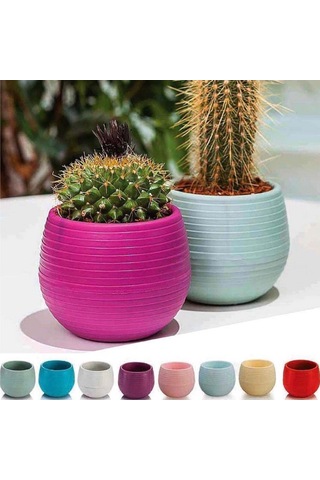 Serada Decor Plant Kaktüs Ve Sukulent Saksısı 0,13l - 6'lı Set