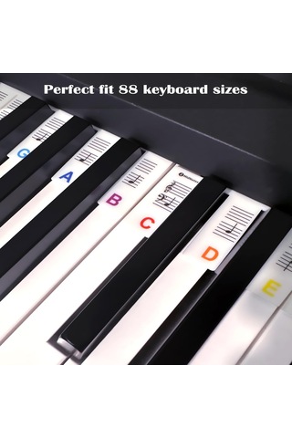 Tenfowee 88 Tuşlu Renkli Silikon Piyano Not Etiketleri: Başlangıçcılar İçin Kolay Kurulumlu, Su Geçirmez, Temizlenebilir Not Rehberi Kutu İçerir Beyaz