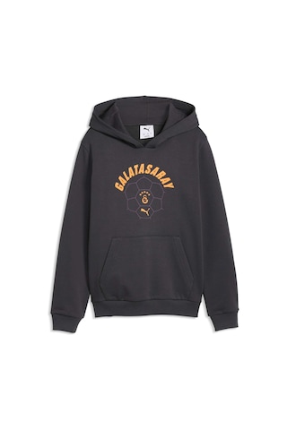 Puma Galatasaray Ftblculture Genç Kapüşonlu Sweatshırt 787646 19 Gri