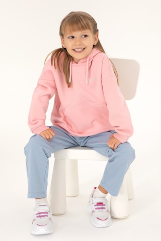 U.S. Polo Assn. Kız Çocuk Pudra Basic Kapüşonlu Sweatshirt 50297438-VR042