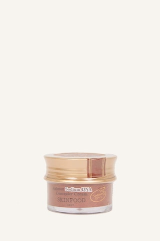 Defacto Skinfood Salmon Sodium DNA Concealer I0300AXNS
