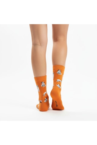 Gost Liria Silver Cat Socks Desenli Unisex Soket Çorap Turuncu